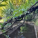 5 Le Laurus Aux Magnolias Aubenas