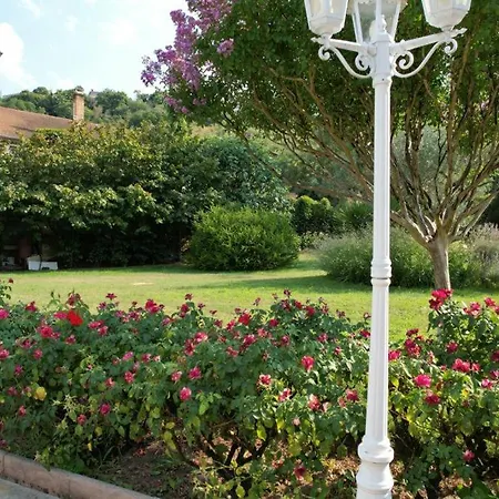 Les Magnolias