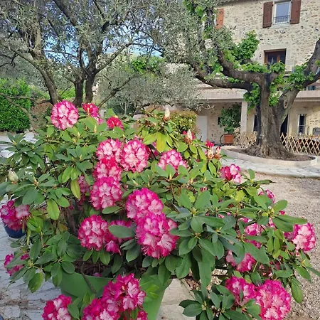 Appartement Les Magnolias *